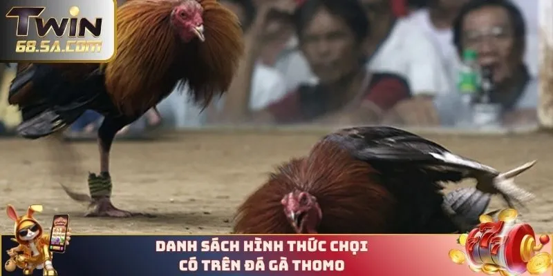 Tổng hợp những hình thức chọi có mặt trên nền tảng